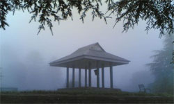 Kufri