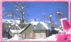 Manali Honeymoon