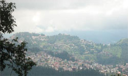 Shimla