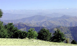 Kufri