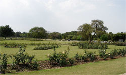 Rose Garden Chandigarh