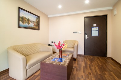 Suite Living Room 