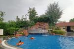 Machan 