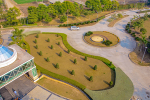 Top View