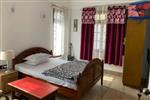 The emerald isle deluxe room 