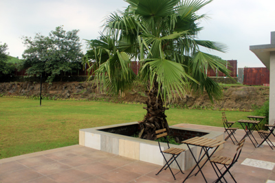 Sitting Area and Lawn