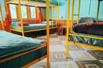 Bunk bed  mix Dormitory