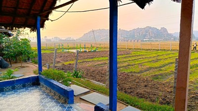 Out view