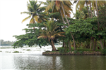 Backwater