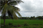 Scenery