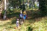 walking trail