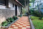 Path way