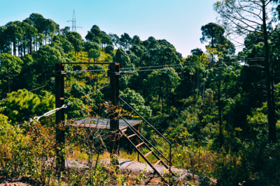 Zip Line