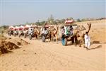 camel fasari trip