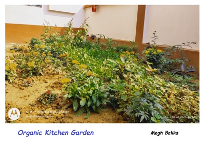 Organic Garden of Megh Balika