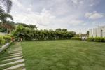 Front Lawn View