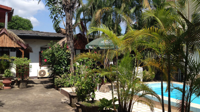 A little tropical garden in town